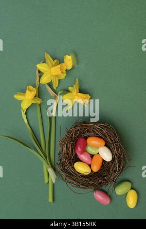 Easter nest, nest with sugar eggs and yellow daffodils Stock Photo