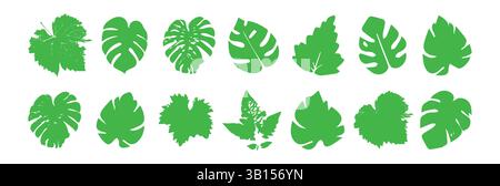 Set of leaves of trees and shrubs of different shape and structure. Green silhouettes of detailed leaf textures. Stock Vector