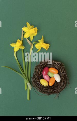 Easter nest, nest with sugar eggs and yellow daffodils Stock Photo