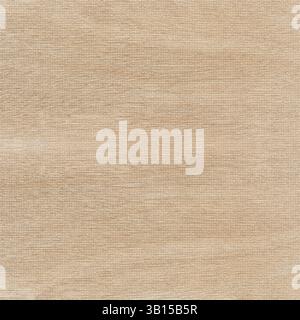 Light brown textured background providing a visually appealing backdrop with its subtle and intricate pattern.Belarus Stock Photo
