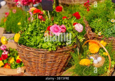 Vibrant Easter composition featuring wicker baskets filled with colorful flowers and decorated eggs, set in a bright outdoor environment with natural Stock Photo