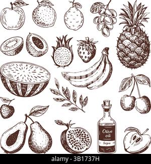 Minimalist hand drawn Fruit collection vector illustration Stock Vector