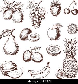 Minimalist hand drawn Fruit collection vector illustration Stock Vector