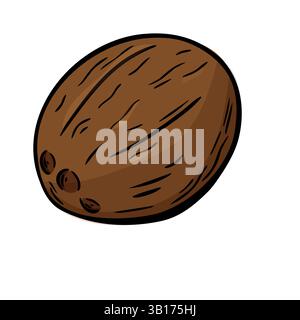 Hand-drawn brown coconut with visible shell texture isolated on white background for packaging or tropical food design Stock Vector