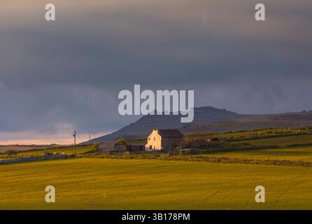 Farmhouse On Bodmin Moor Stock Photo