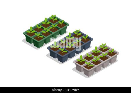 Agricultural cultivation. Isometric vector of three seedling trays with young green sprouts growing in rich soil, ideal for early plant cultivation Stock Vector