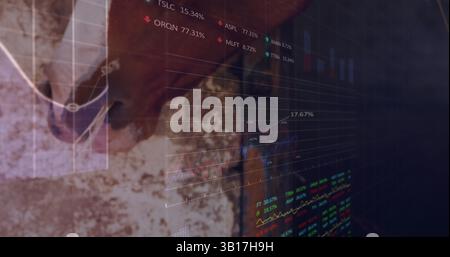 Image of data processing over horse Stock Photo