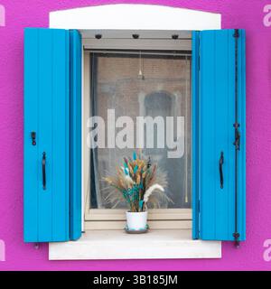 Blue shutters and dried flowers in Burano window Stock Photo