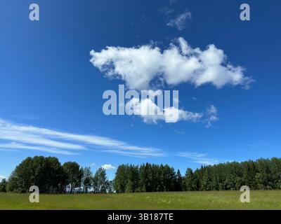 View of a vibrant blue sky with fluffy white clouds and lush green trees. Stock Photo