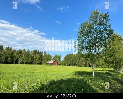 A picturesque red barn in a lush green field under a bright blue summer sky, surrounded by trees in Sweden. Stock Photo
