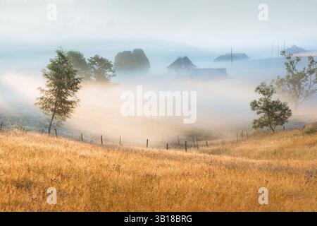Peaceful morning in Cheia, Romania, with mist rising over rolling hills, and moody landscape in the Carpathian Mountains Stock Photo