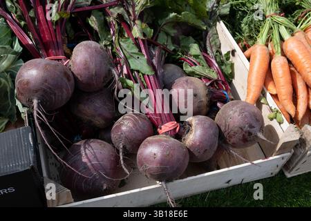 Beetrot for sale on a market stall, Stratford-upon-Avon, UK Stock Photo
