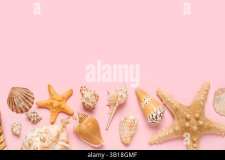 Many different seashells and starfishes on pink background Stock Photo