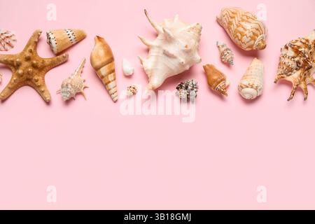 Many different seashells and starfish on pink background Stock Photo