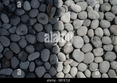 Small Stones or Pebbles Texture with Shadow, perfect for Background and copy space for text Stock Photo