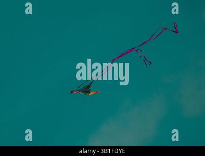Kite flying in the sky in afternoon Stock Photo
