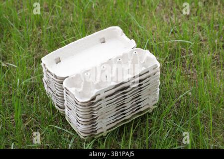 Empty Egg Cartons, Paper Container on Green Grass background. Recycling Concept Stock Photo