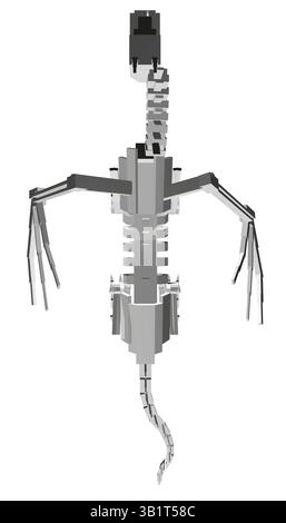A skeletonized dragon is drawn in black and white. The skeletonized dragon is a representation of a creature that has been transformed into a skeleton Stock Vector