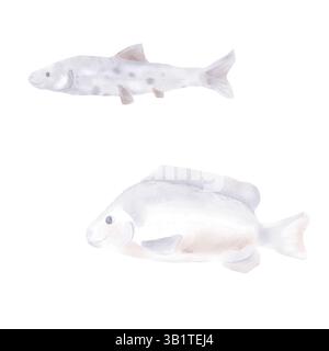 Sea and river fish. Watercolor illustration. A set of cute fish in beige shades, isolated on a white background. For seafood logos, restaurant brandin Stock Photo