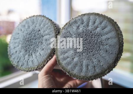 Dirty wipes on the window cleaner robot after work Stock Photo