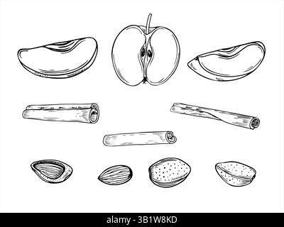 Apple slices, almond and cinnamon sticks set line art black ink sketch. Food ingredients monochrome illustration. Aromatic seasoning for healthy Stock Vector