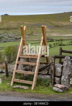 Wooden ladder over dry stone wall to farmland in Devon Stock Photo