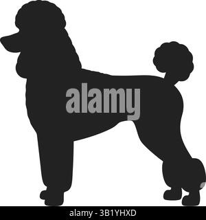 Cartoon poodle face vector illustration Stock Vector Image & Art - Alamy