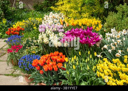 Spring bulbs at Great Dixter, East Sussex, UK Stock Photo