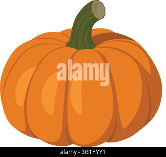 Big orange pumpkin isolated on white background Stock Vector