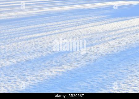 Fresh sparkling snow close-up, diagonal shadows on the snow on a flat surface perfect as a winter season background or texture Stock Photo