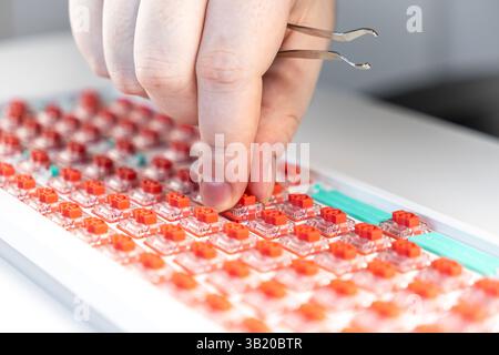 Close-up of a person pressing a red switch into a mechanical keyboard using tweezers, highlighting switch installation, DIY customization, and hands-o Stock Photo