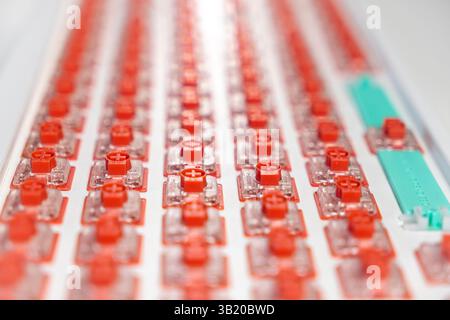 Close-up perspective of red mechanical switches precisely installed in rows on a hot-swappable keyboard plate, highlighting the process of custom mech Stock Photo