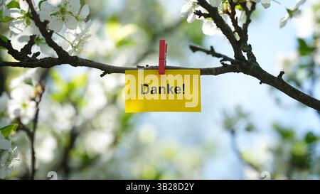 A yellow paper note with the word Danke! (Thank you in German) on it attached to a blossoming plum tree branch with a clothes pin. Stock Photo
