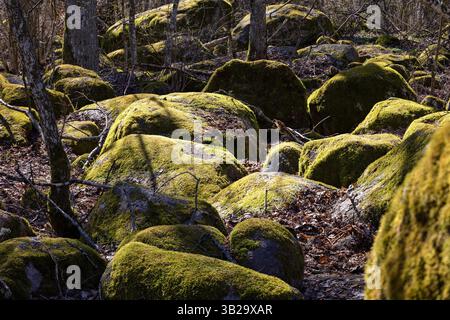 Moss-covered rocks Stock Photo