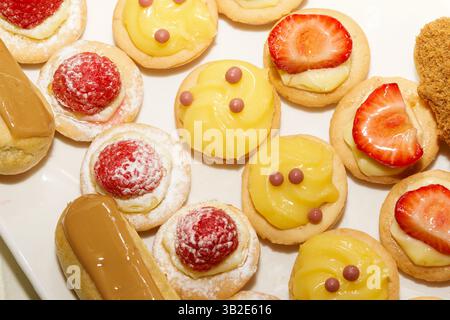 Mini pastries with lemon and fruit tartlets, and éclairs on dessert tray. Elegant individual desserts for buffet or celebration. Stock Photo