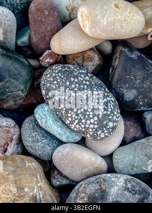 Detailed close-up of patterned beach pebble surrounded by smooth sea stones Stock Photo