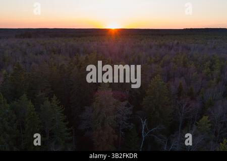 The sun sets below the horizon, painting the sky in warm colors over a dense green forest, captured by drone during sunset. Stock Photo