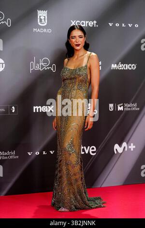 Madrid. Spain. 20250427, Vina Machado attends 12nd Platino Awards 2025