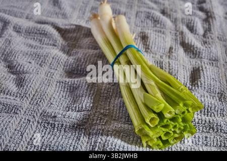 A bunch of scallions, sometimes called Spring Onions, Green Onions, or Long Onions,  on a kitchen towel. Stock Photo
