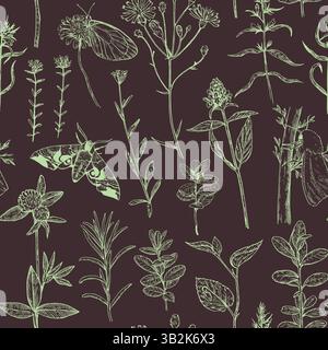 Seamless pattern with forest and meadow plants, flowers and moths. Vector illustration in engraving style. Stock Vector