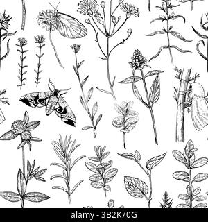 Seamless pattern with forest and meadow plants, flowers and moths. Vector illustration in engraving style. Stock Vector