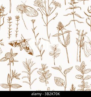 Seamless pattern with forest and meadow plants, flowers and moths. Vector illustration in engraving style. Stock Vector