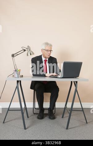 Senior man working with laptop at the office Stock Photo