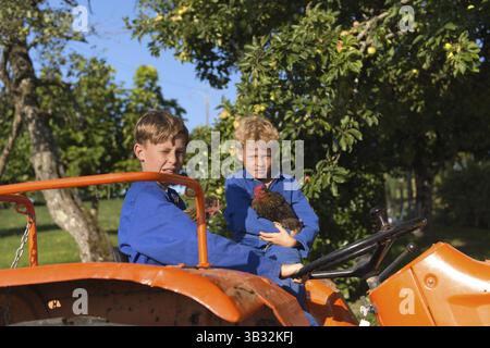 Farm boys with chickens riding on orange tractor Stock Photo - Alamy