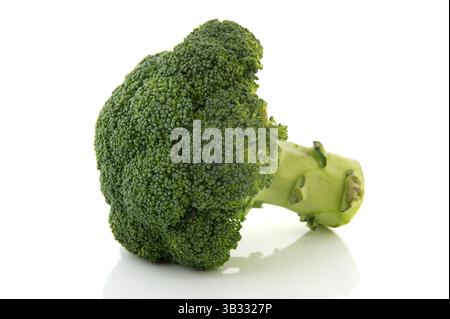 Chunk fresh green Broccoli isolated over white background Stock Photo