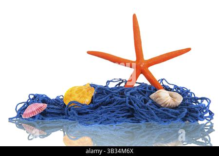 Fishing net with shells and starfish isolated Stock Photo