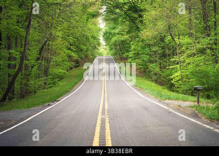 Road with yellow dividing lines on asphalt leading towards trees Stock Photo