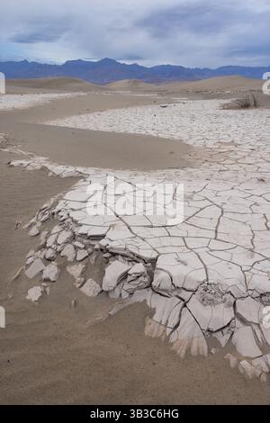 Cracked dried mud patterns and sand dunes in the morning, Mesquite Flat Sand Dunes, Death Valley National Park, California Stock Photo