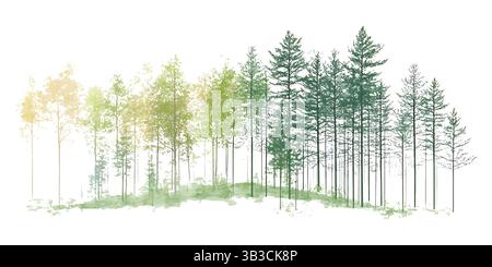 simple line drawing of pine trees with green and yellow watercolor wash vector art Stock Vector
