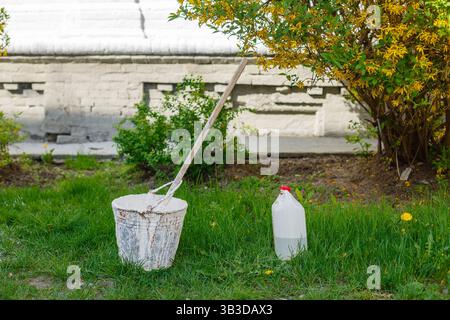 Bucket with whitewash and brush next to a plastic container, placed on green grass near a blossoming shrub in a garden setting. Stock Photo